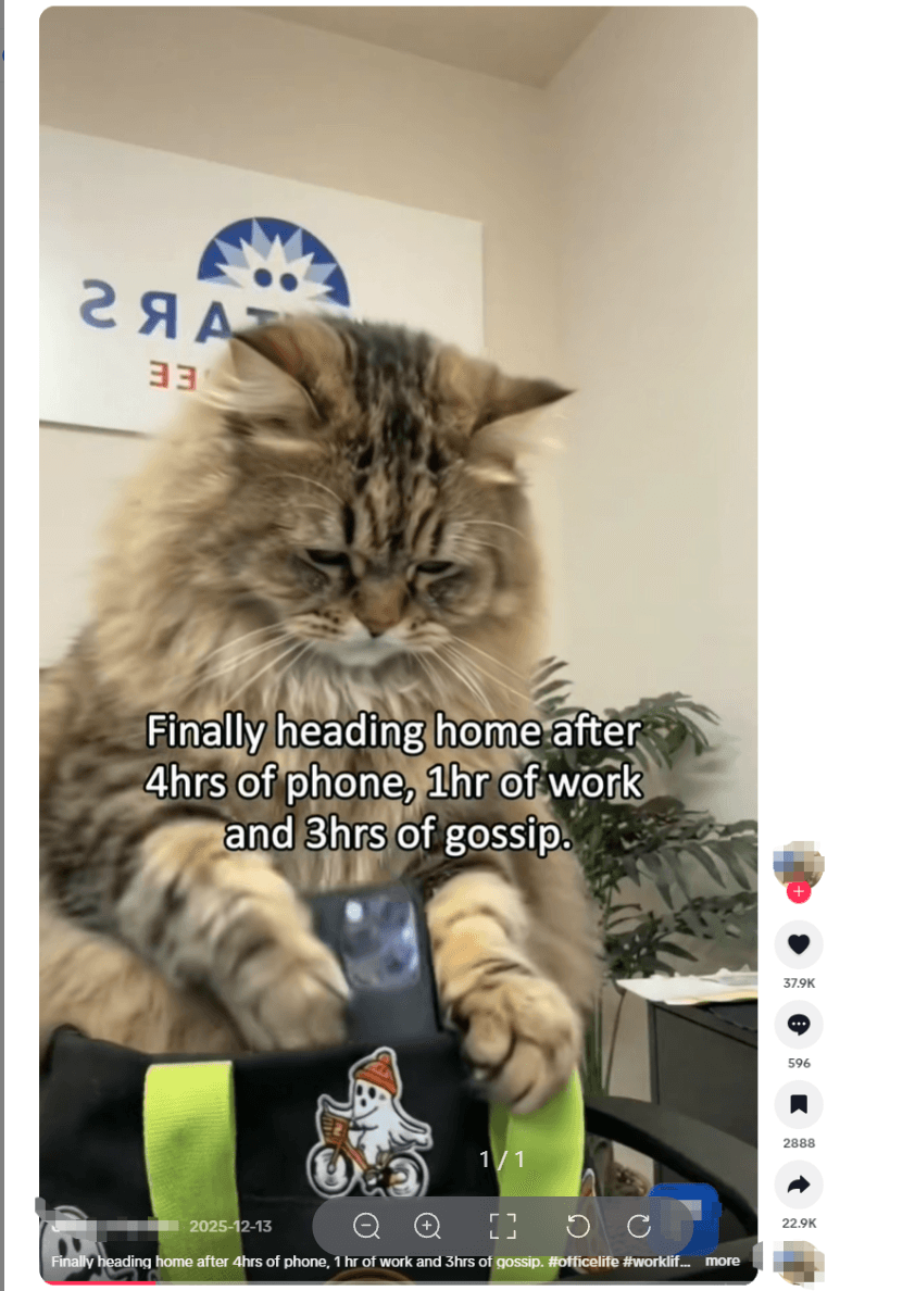 Content Matrix Operations - example 1